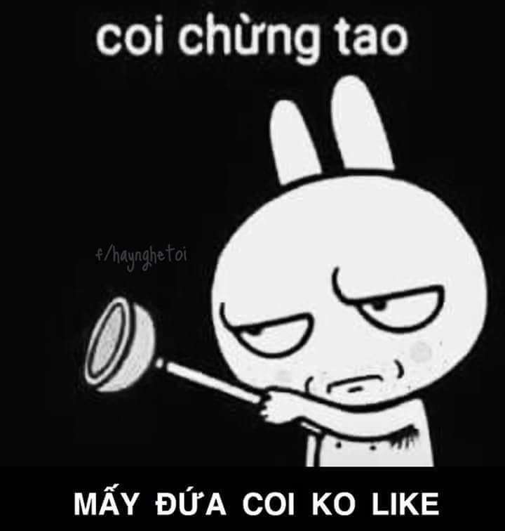  maiphuctien abc 
