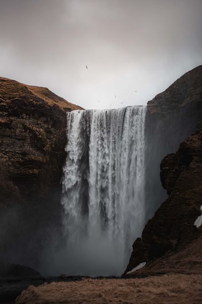  1111 